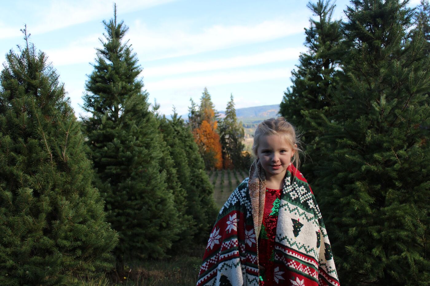 A young girl wrapped in a red holiday blanket among the Christmas trees