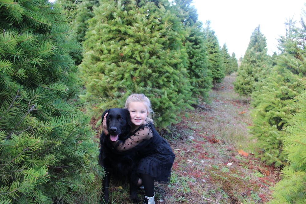 A girl and her dog walking between Christmas trees