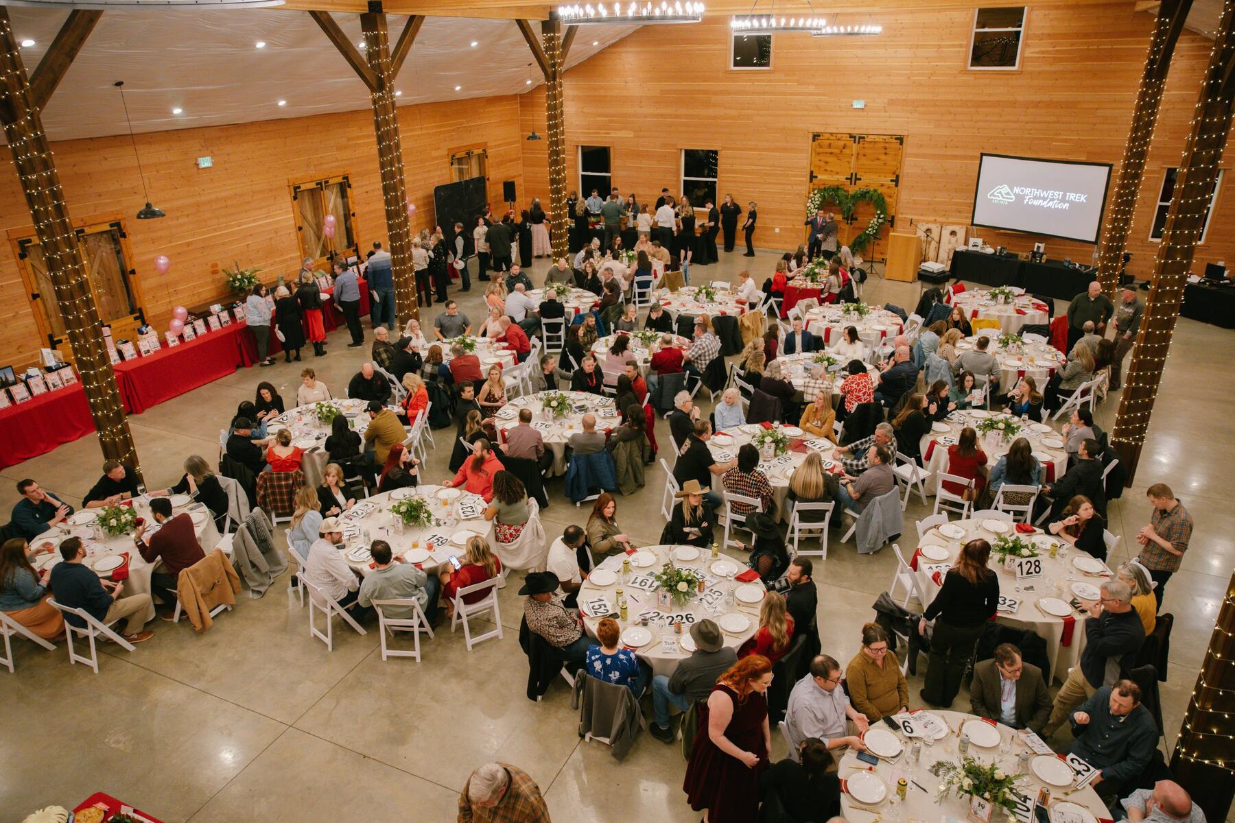 Overhead view of the barn set for a fundraising dinner, with round tables, silent auction tables along the wall, and the Northwest Trek Foundation logo on a screen