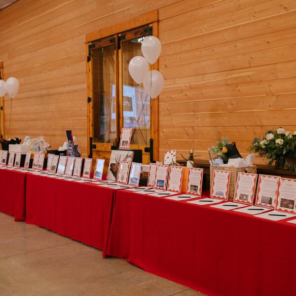 Silent auction tables along the barn wall