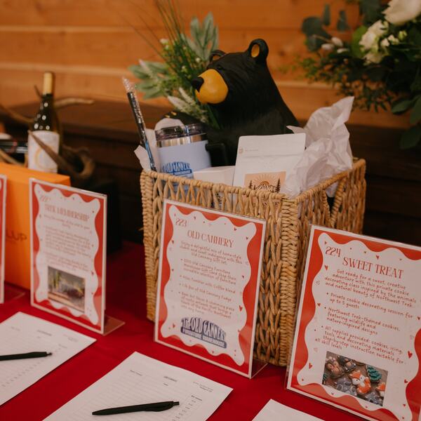 Silent auction basket and item cards