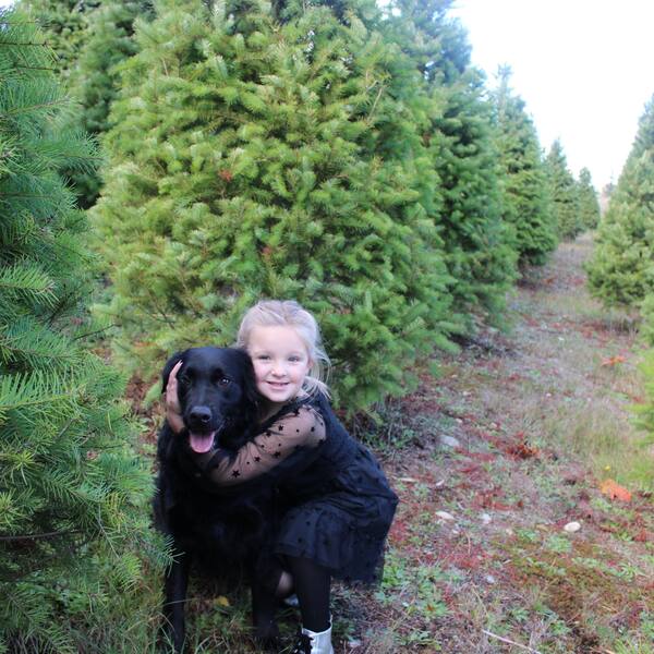 Walking the rows with the dog