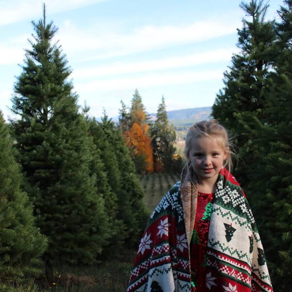 Holiday blanket in the trees