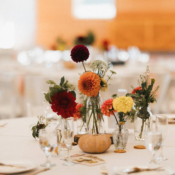 Dahlia centerpiece with a pumpkin